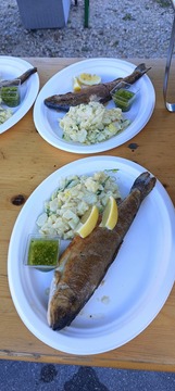 Ribja tržnica v Motniku (4)